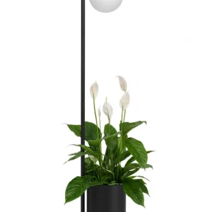 Szybka dostawa Lampa podłogowa BOTANICA DECO XL 41120119 oprawa w kolorze czarnym i białym z elementami drewna KASPA
