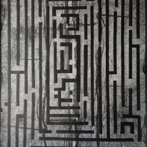 Tylko dziś Serigrafia na papierze  "Errare humanum est"  Amadeusz Popek